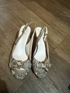 Cole Haan Snake-Print Slingback Pumps with Gold Buckle